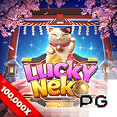 Mèo May Mắn kuwin02
