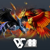 Sabong kuwin02